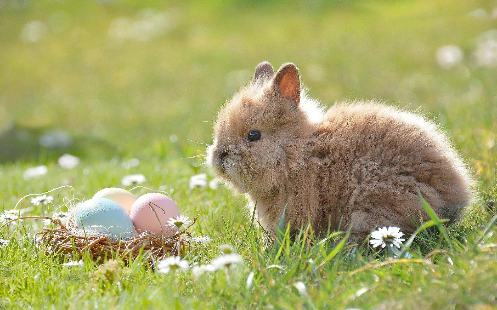 HUEVOS DE PASCUA